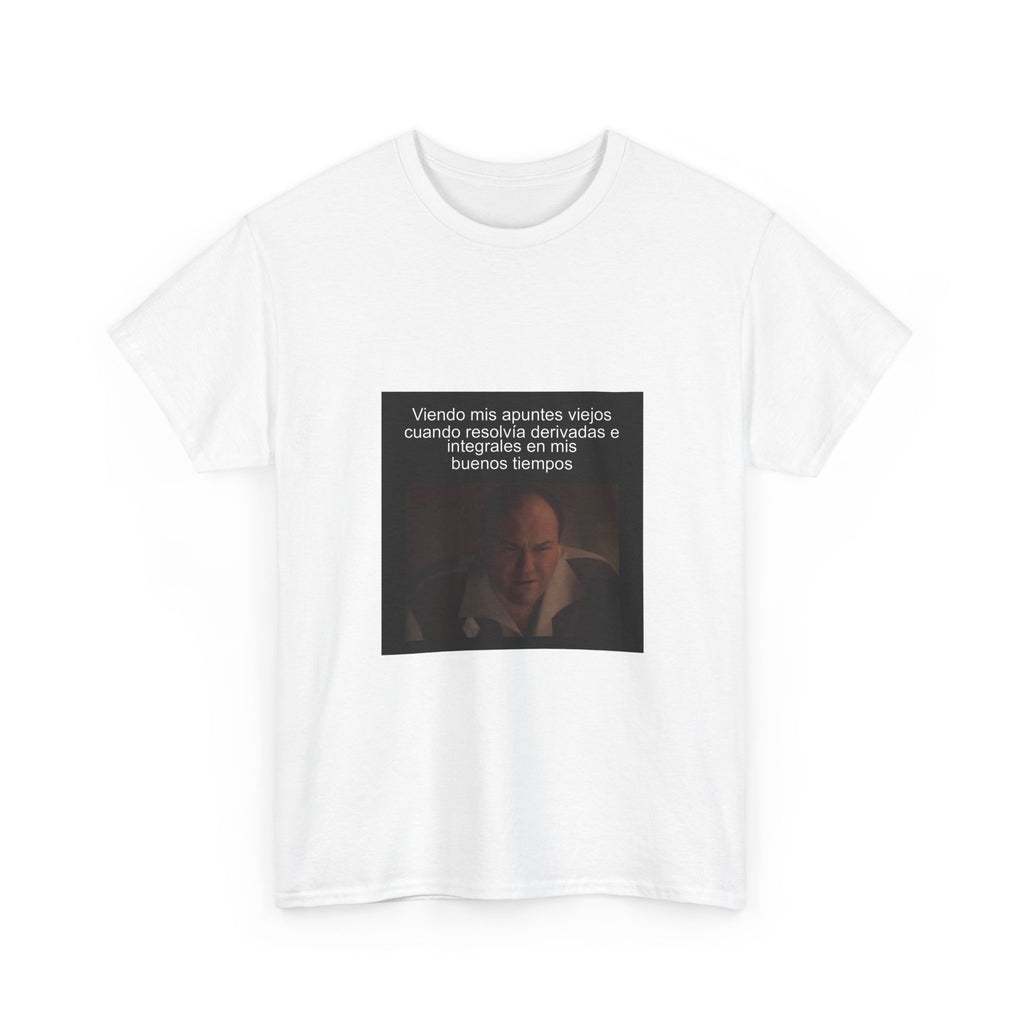 "Viendo Mis Apuntes Viejos Cuando Resolvía Derivadas E Integrales En Mis" - Camiseta Meme