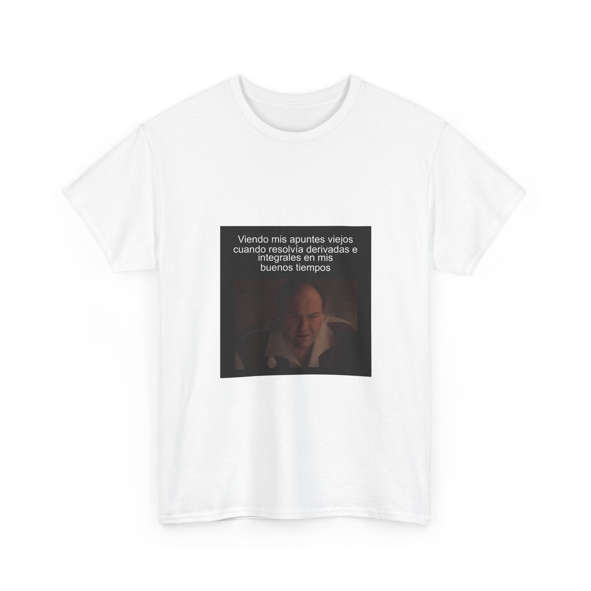 "Viendo Mis Apuntes Viejos Cuando Resolvía Derivadas E Integrales En Mis" - Camiseta Meme