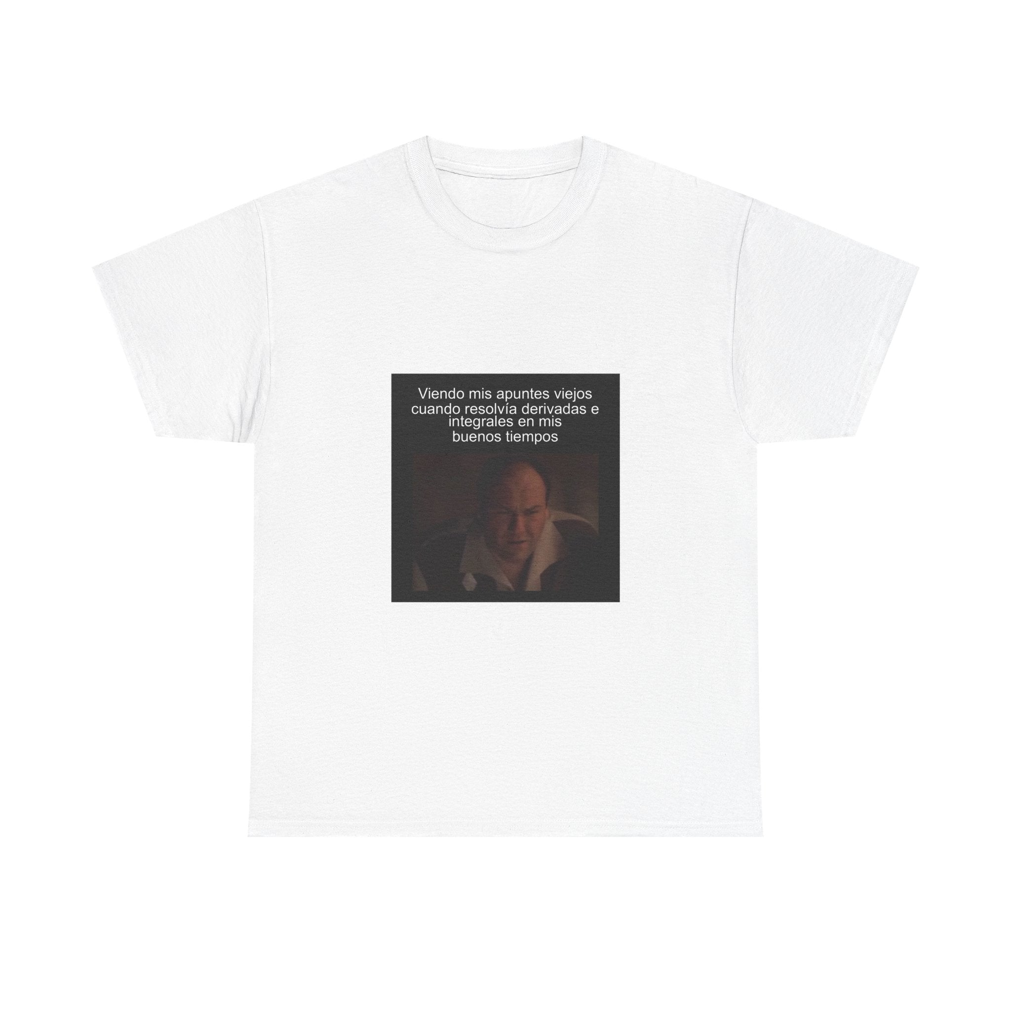 "Viendo Mis Apuntes Viejos Cuando Resolvía Derivadas E Integrales En Mis" - Camiseta Meme